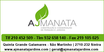 A J Manata, Lda